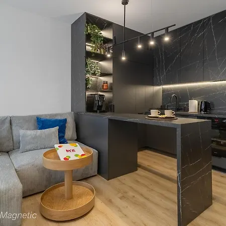 Mye - Piotrkowska 44 Magnetic, Parking, Klimatyzacja, Winda, Balkon, Fv